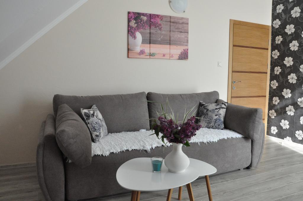Aria Apartmani Vrdnik Exterior foto